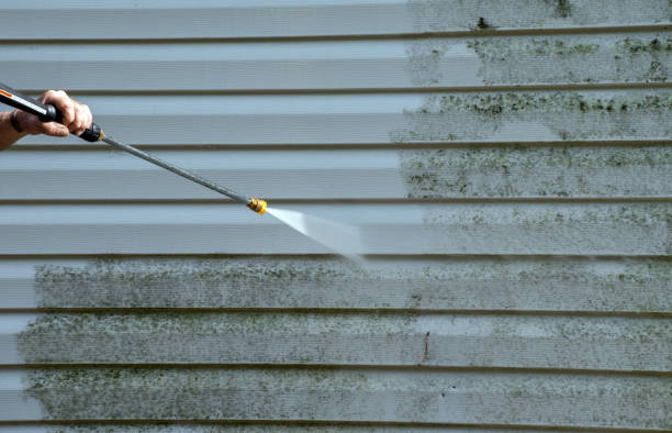 Best Roof Washing  in Hanapepe, HI
